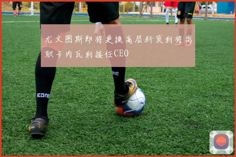 尤文图斯即将更换高层科莫利将离职卡内瓦利接任CEO