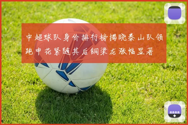 中超球队身价排行榜揭晓泰山队领跑申花紧随其后铜梁龙涨幅显著